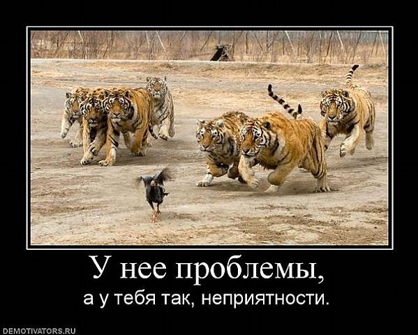 Картинка взята с сайта Demotivators.ru для целей иллюстрации.