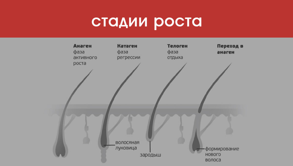 Фото: из интернета