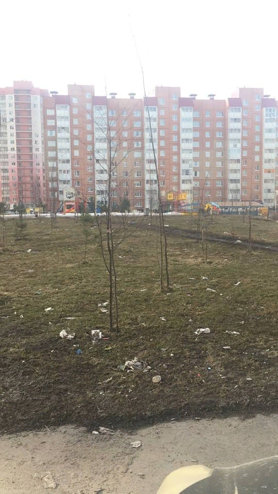 двор в Ленинградской области 