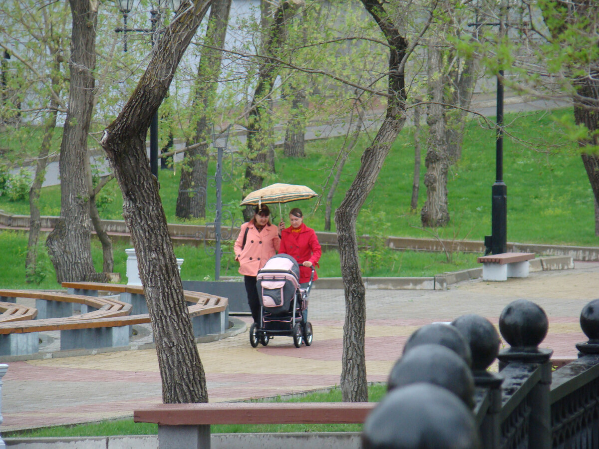 Хабаровский краевой парк имени Н. Н. Муравьева-Амурского.