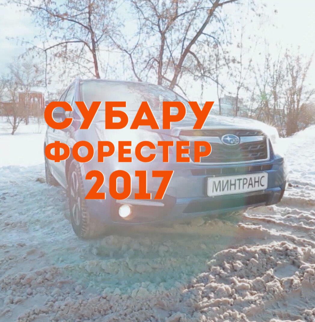 японский лесник вам дров не нарубит