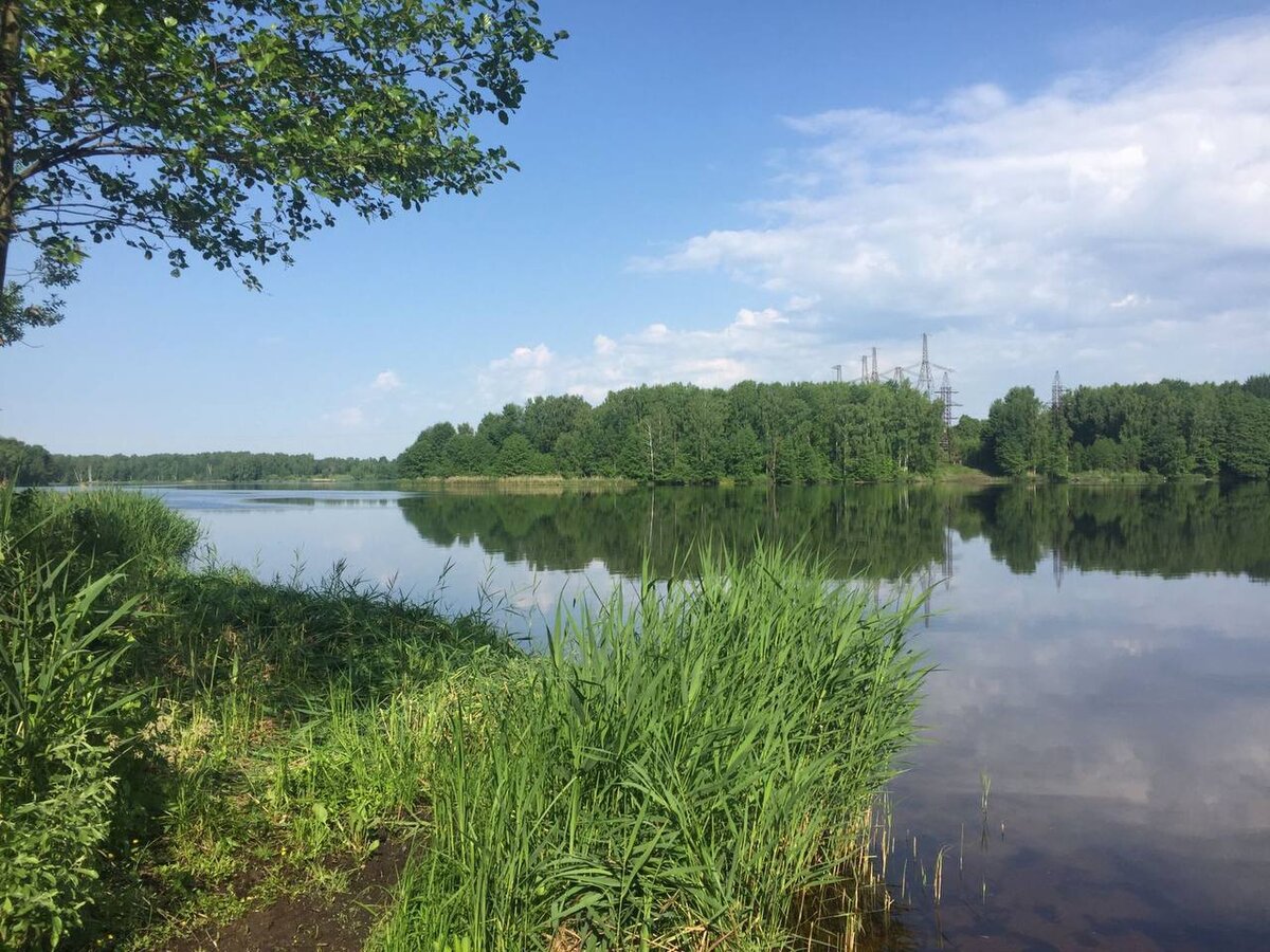 Десногорское водохранилище фото пляжа