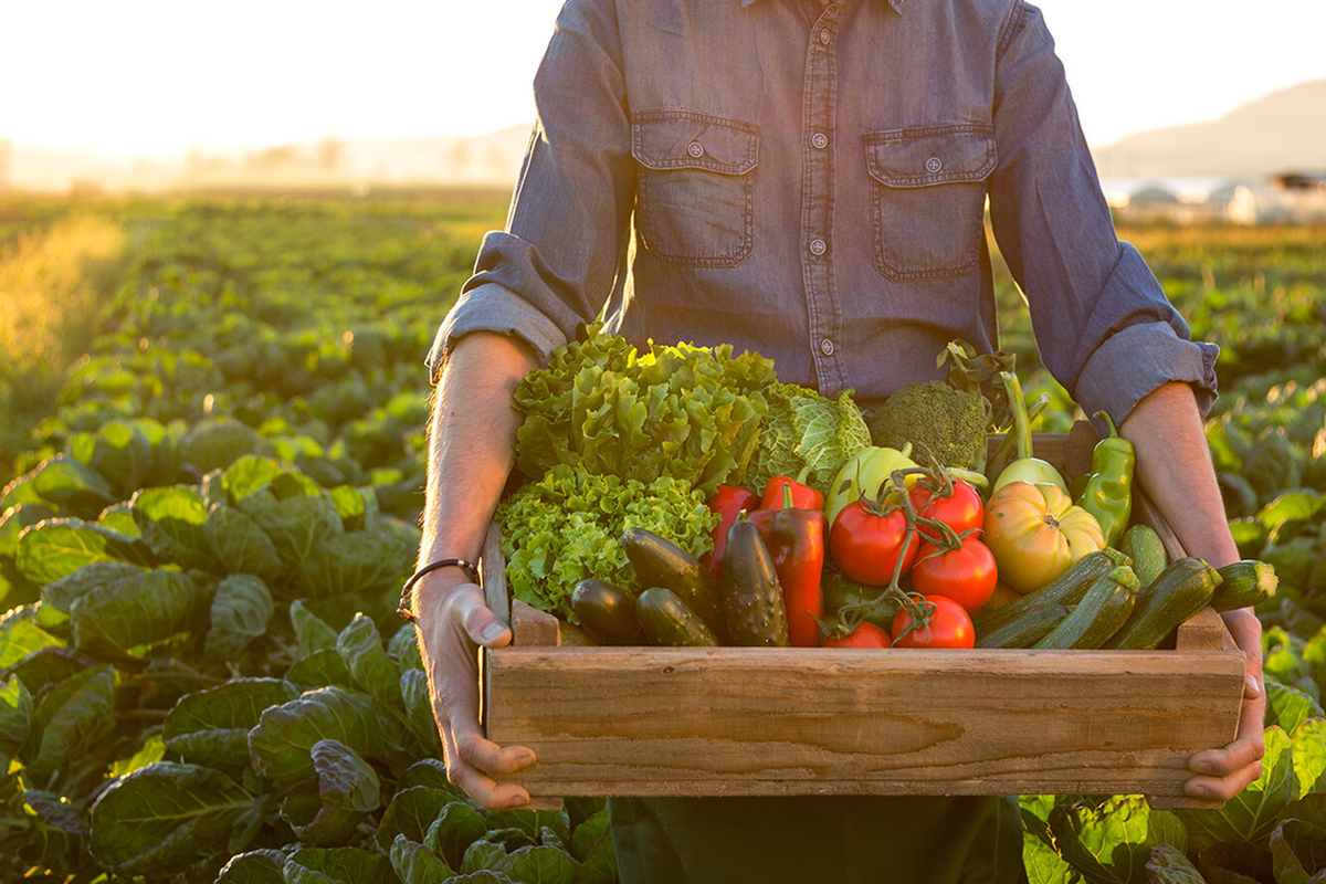 Источник: Яндекс.Картинки