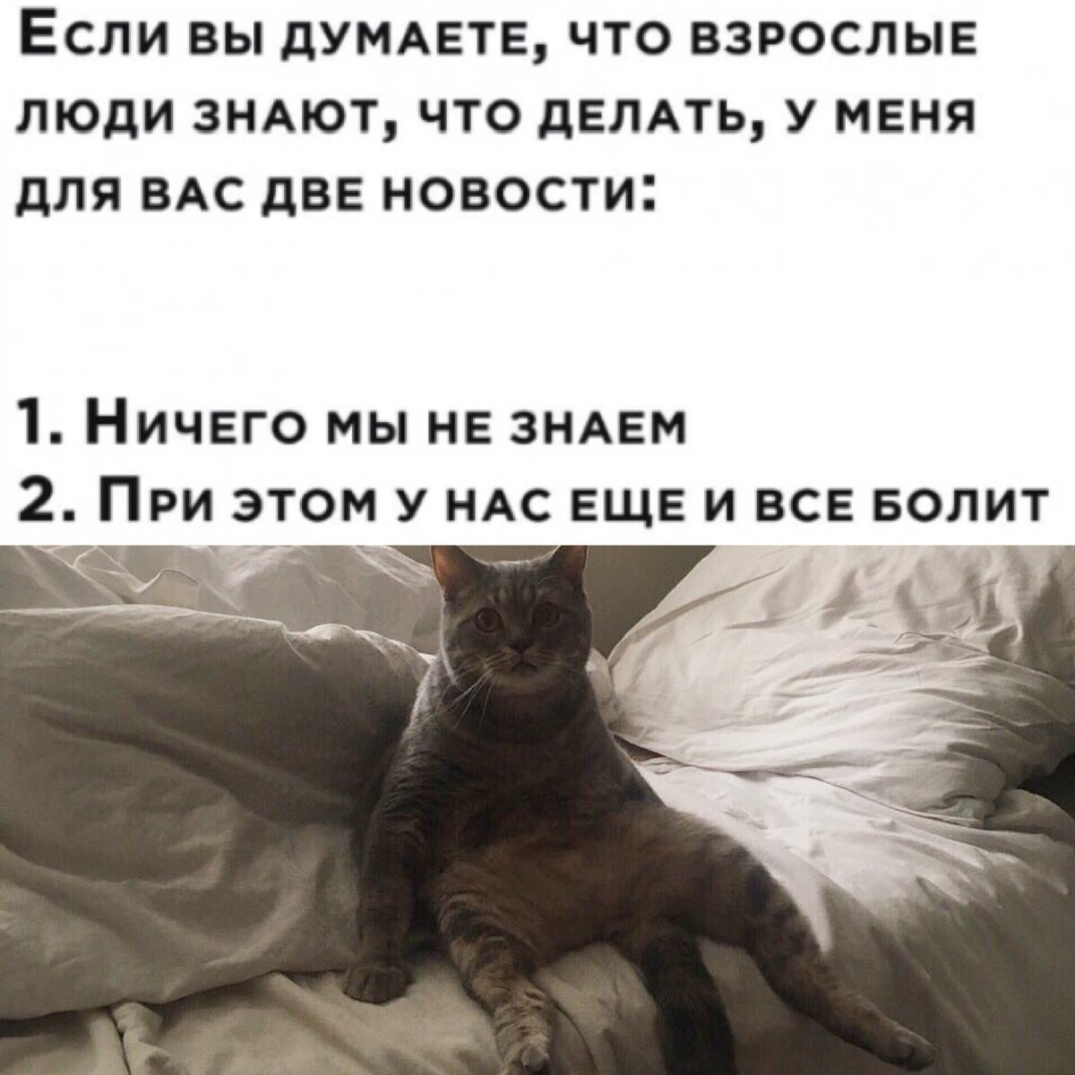 А в вас?😊😹