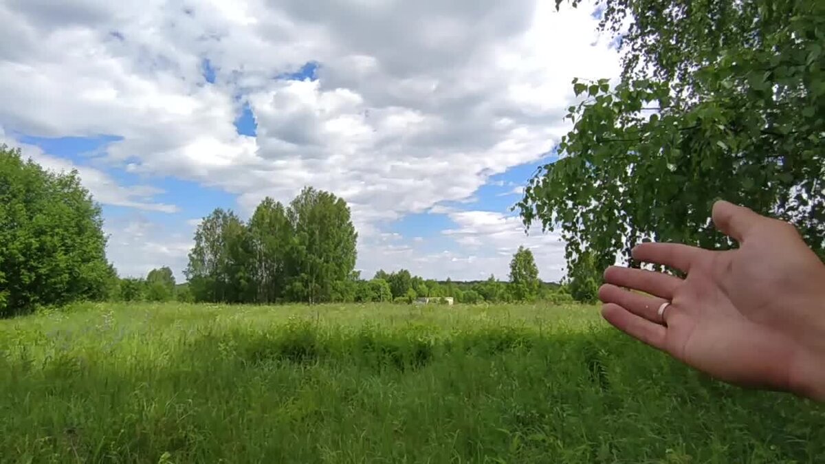 Шишкин прогулка в лесу 1869. Заброшенная деревня растесс. Медведь в деревне. Грибники заблудились в лесу. Деревня уйду в лес.