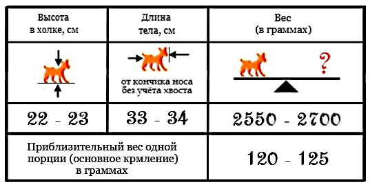 Соотношение веса, роста и объема пищи при кормлении для померанского шпица