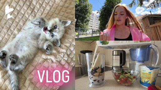 VLOG: МЫ ЗАВЕЛИ КОТЕНКА 😻 АСМР ЗАВТРАК 🥗 СТОЛКНУЛАСЬ С АВИТО ДОСТАВКОЙ