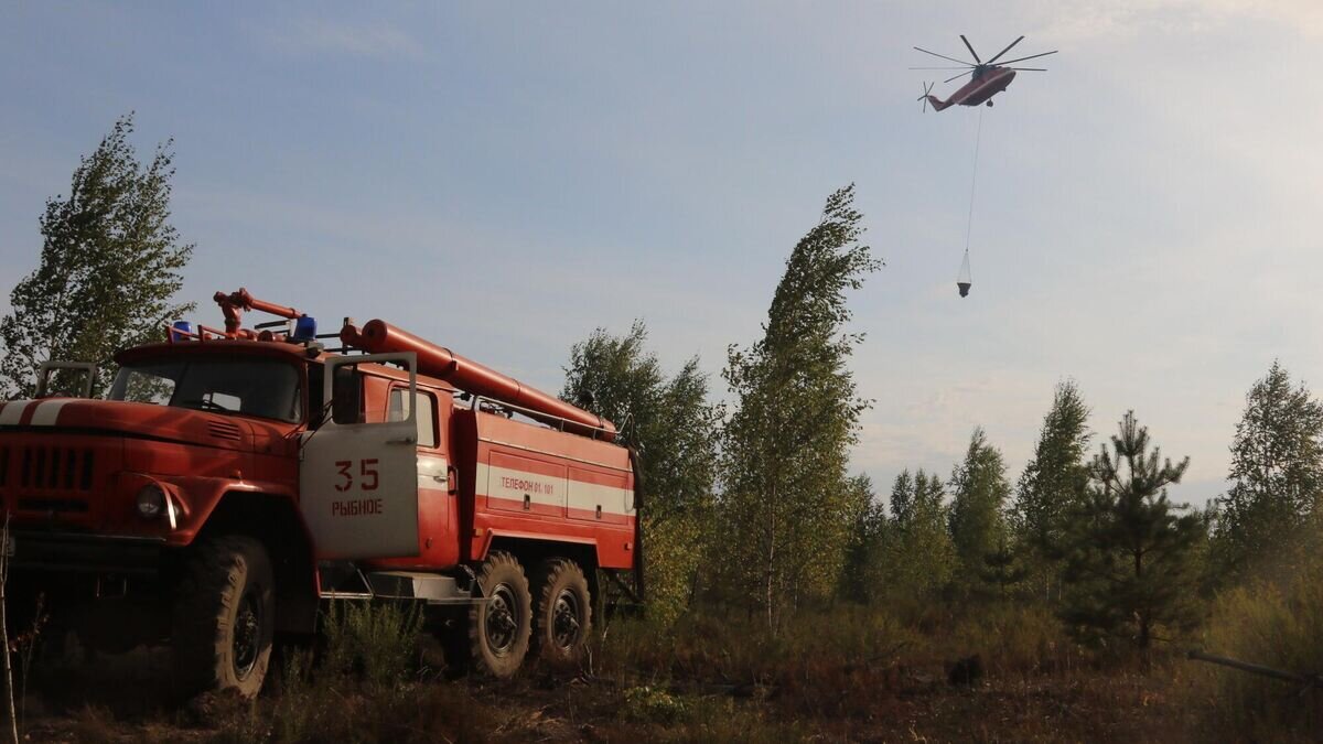    Тушение природных пожаров в Рязанской области© Фото : ГУ МЧС России по Рязанской области