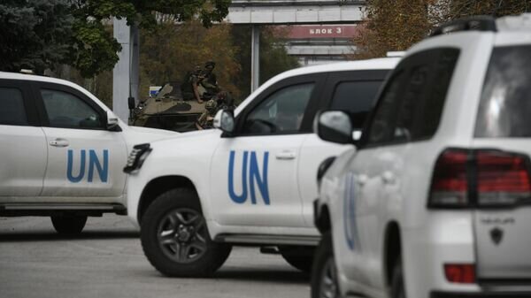   © Sputnik / Константин Михальчевский