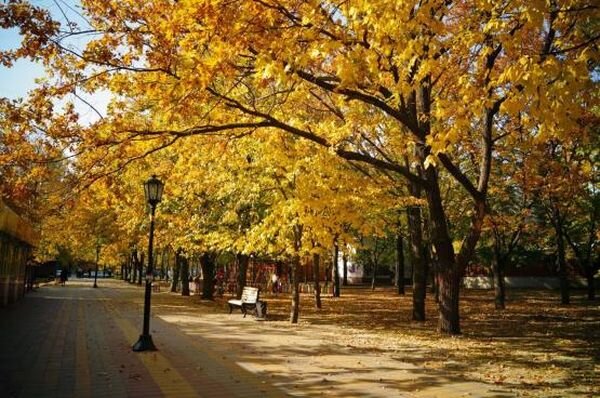 Источник фото: wikifoto.ru