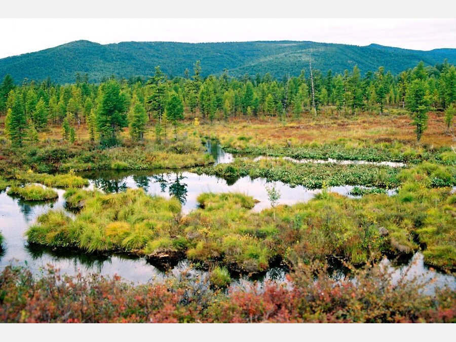 Фото с httpsfototerra.ruRussiaKamchatskaja-oblastAleksandr-111-3439.html