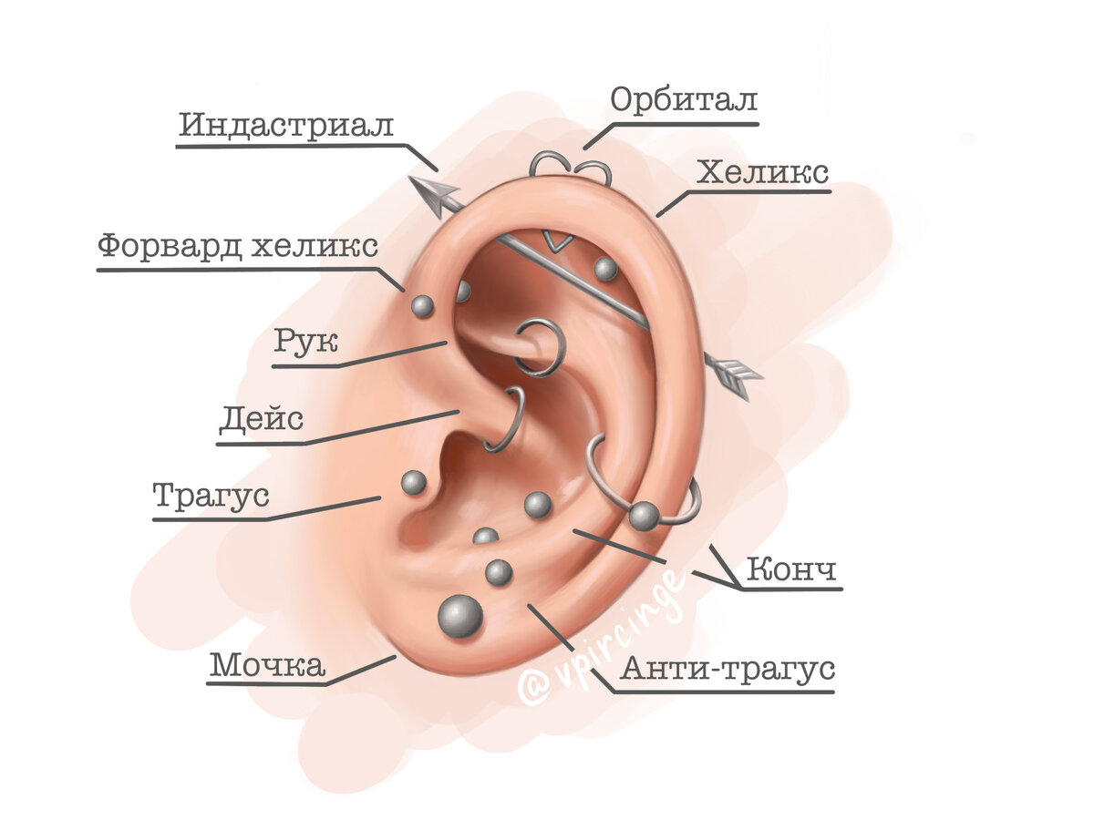 Источник фото: vpircinge.ru