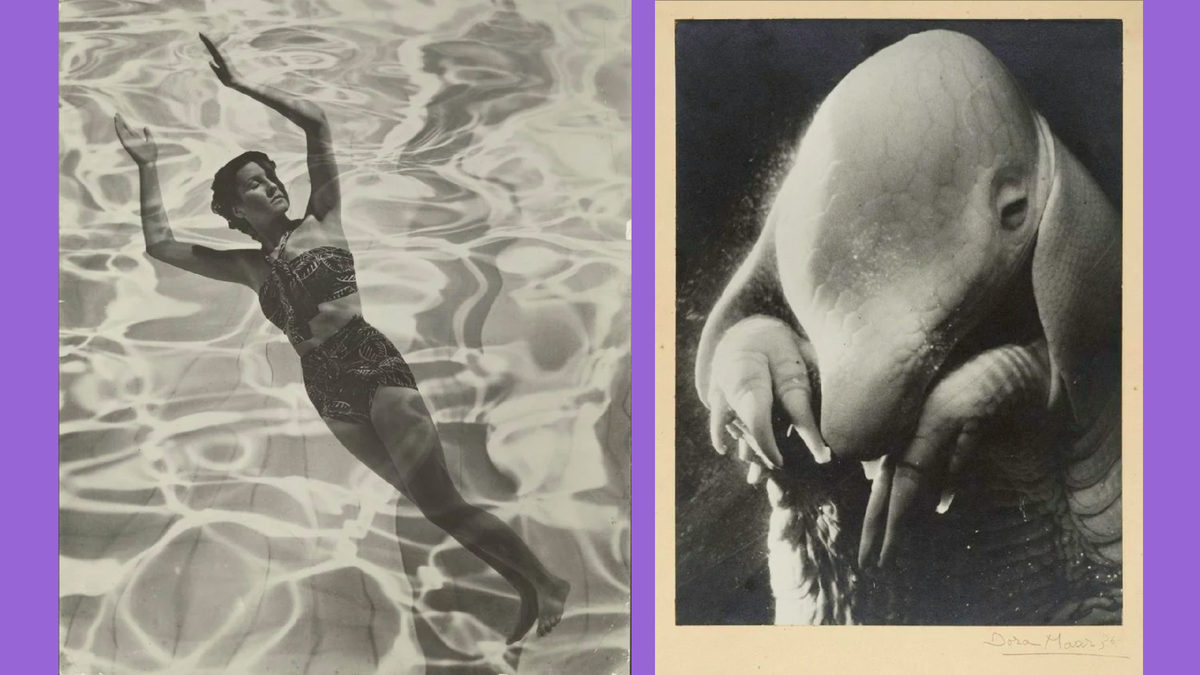 1. Дора Маар. Модель в купальнике. 1936. The J. Paul Getty Museum, Los Angeles © Estate of Dora Maar / DACS 2019, All Rights Reserved. 2. Дора Маар. Портрет Убу. 1936. Musée National d'Art Moderne - Centre Pompidou (Paris, France) © Estate of Dora Maar / DACS 2019, All Rights Reserved