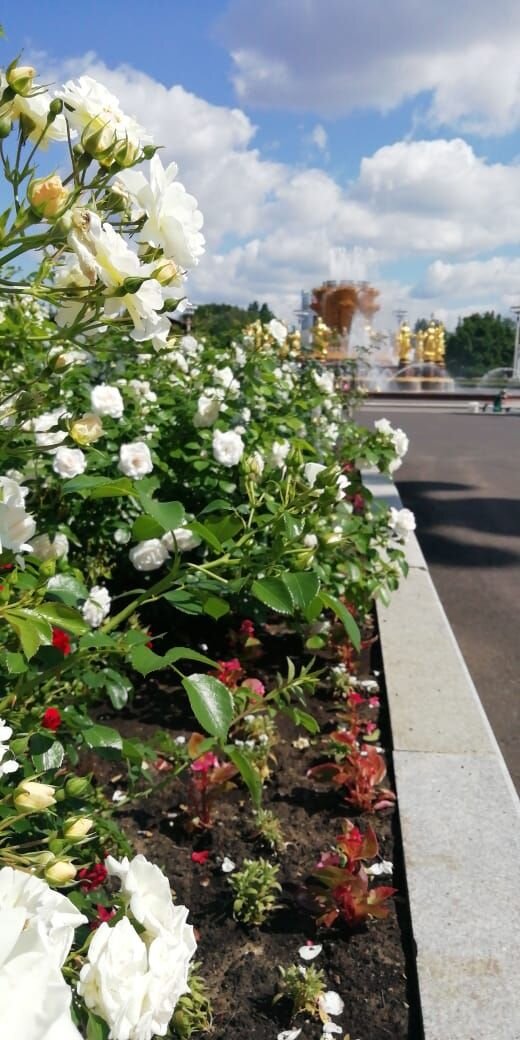 У центрального фонтана 