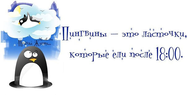 Источник: Яндекс Картинки