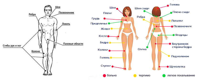 Места тела человека. Места для татуировок. Места для татуировок названия. Части тела с татуировками. Больные места для тату у девушек.