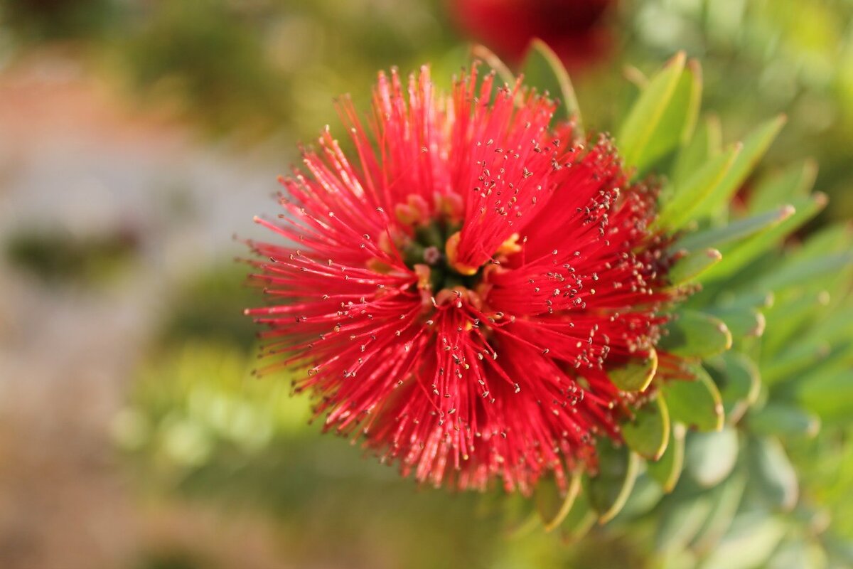 Из личного архива


