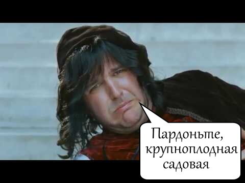 Пардоньте! Кадр из фильма "О чём говорят мужчины".