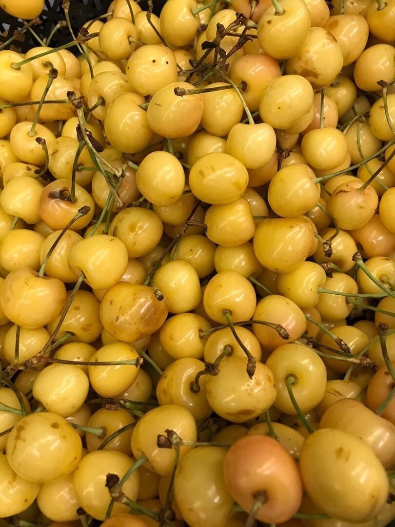 Посмотрите на эти аппетитные фото с последнего закупа