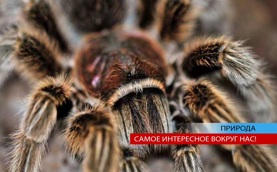 Фото коллаж www.nosecret.me 