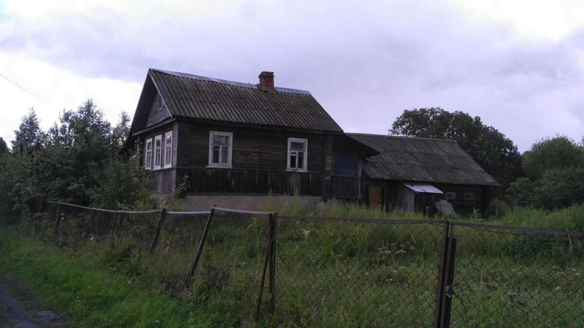 Дом в деревне новгородское. Мшага деревня Новгородская область. Мшага Новгородского района Новгородской области. Деревня Мшага Воскресенская Новгородская область. Деревня Мшага Новгородский район.