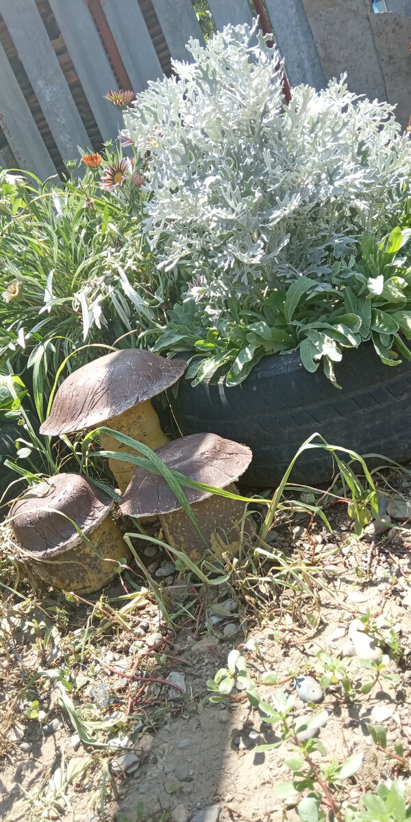 Авторское фото