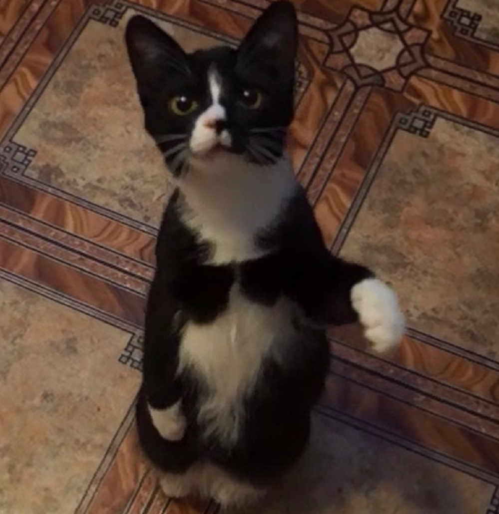 Очаровательный Кто желает познакомиться