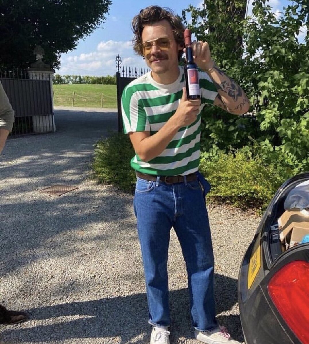 Источник фото:  @alyssavingan / Twitter Гарри Стайлс