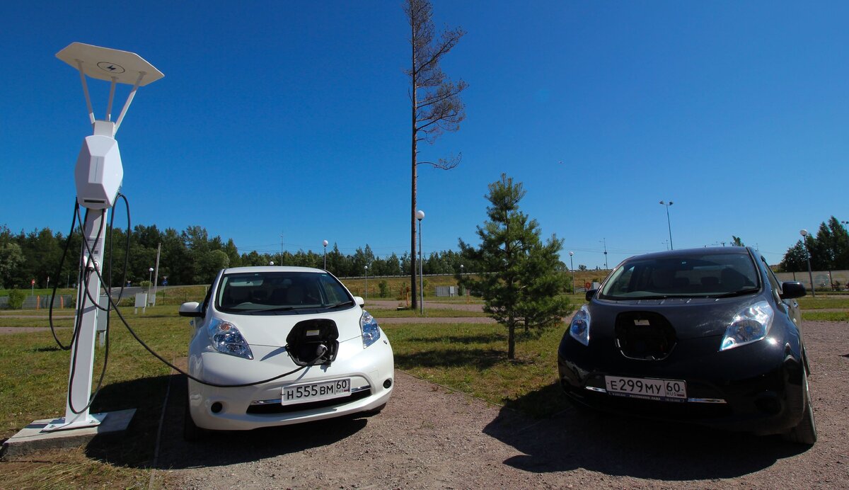 Красавчики!