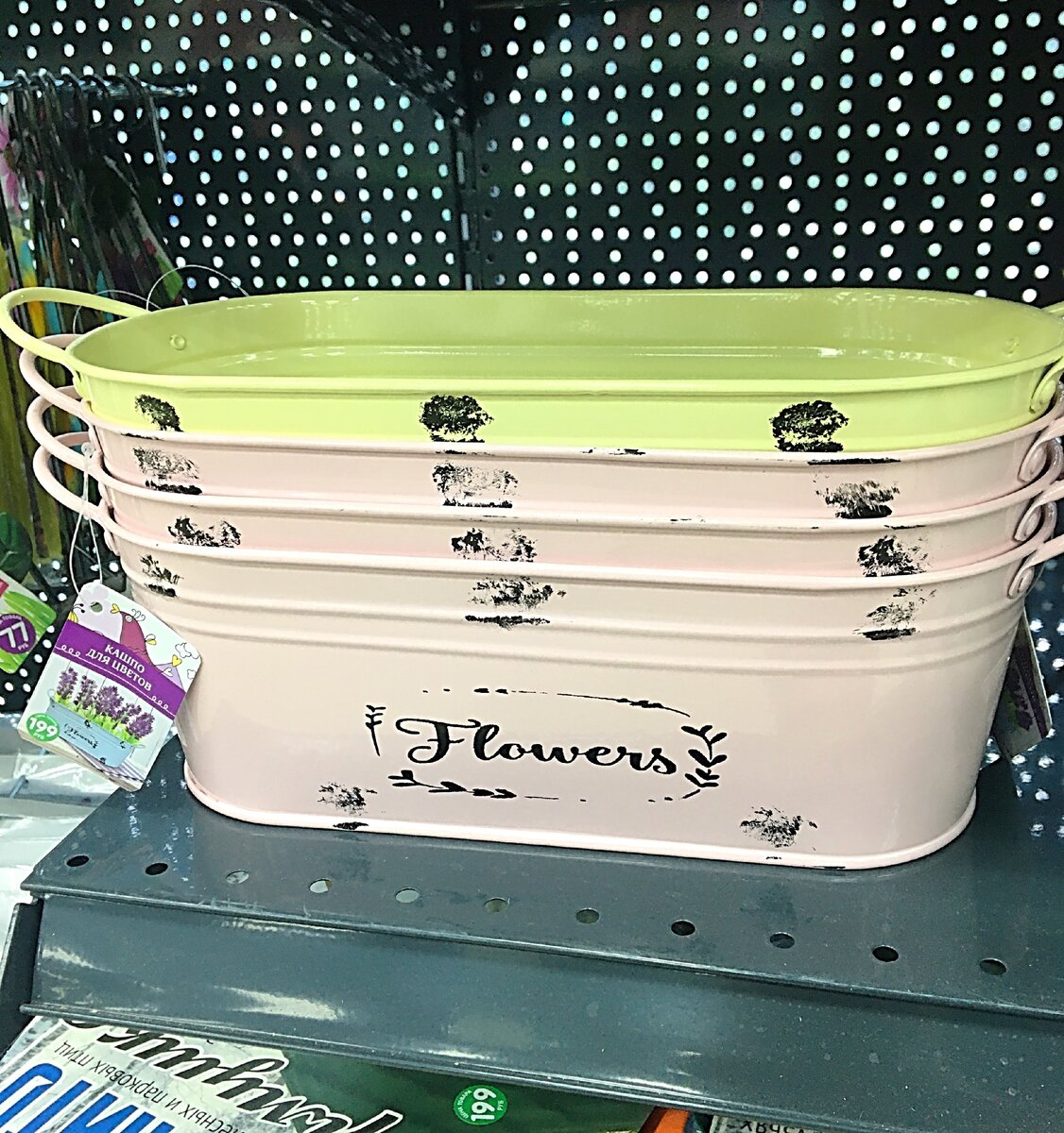 Фото из личного архива