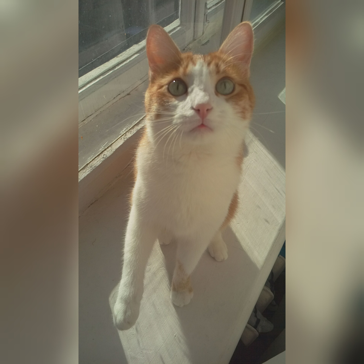 Прямо сюда! 