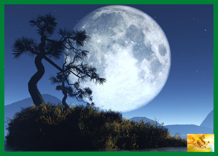 Ставьте лайки и подписывайтесь на мой канал. Благодарю