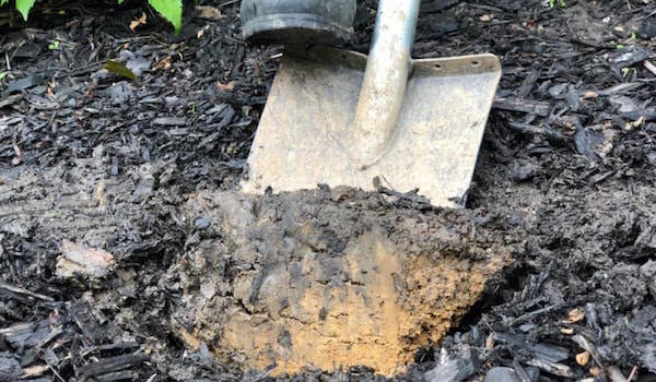 Простой способ сделать почву в огороде рыхлой и мягкой. Личный опыт