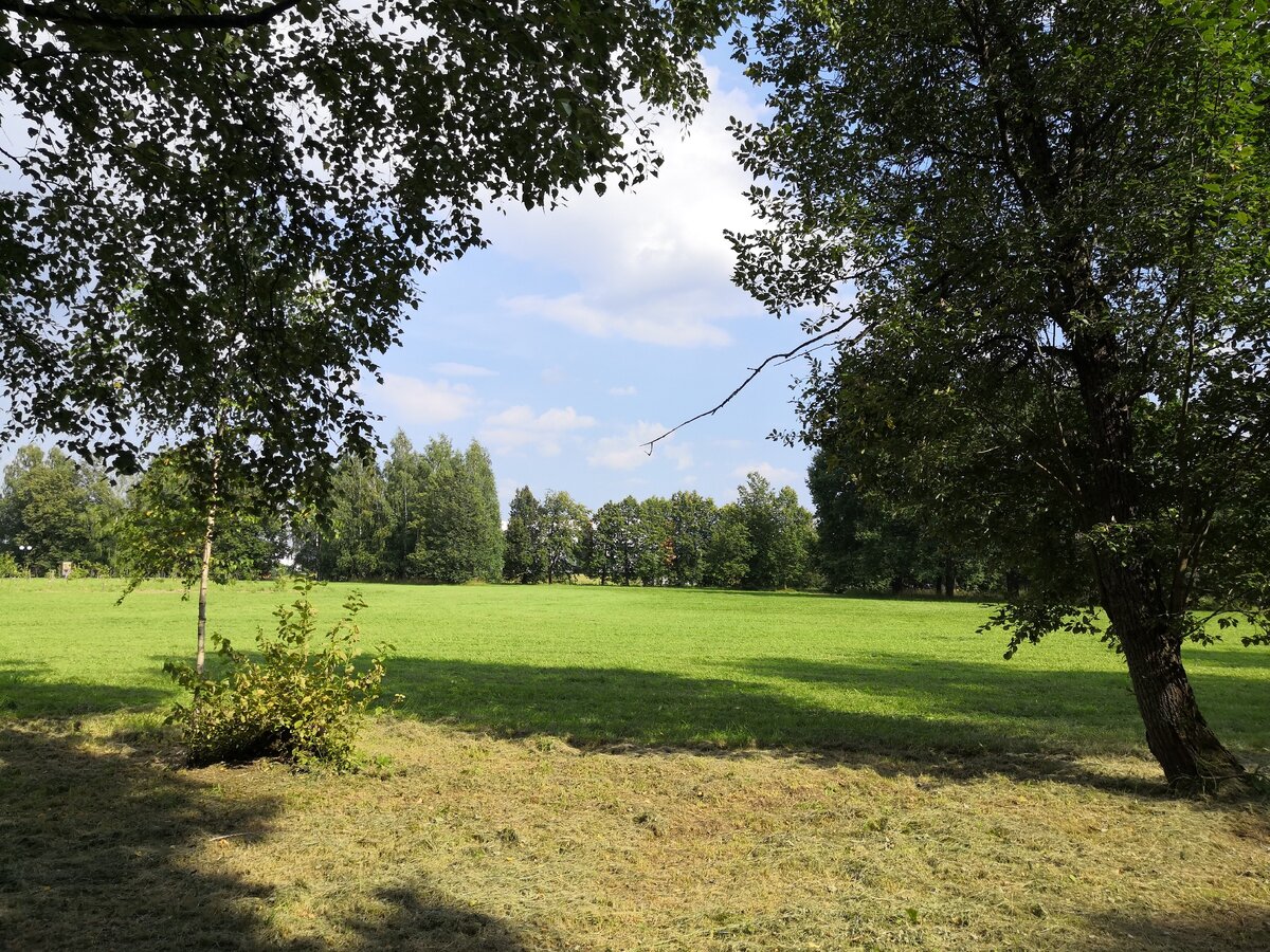 Горки Ленинские. Парк (фото автора)