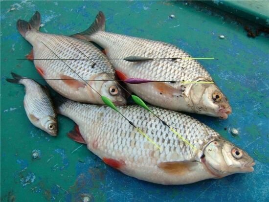 
Легкий изящный поплавок с тонкой антенной сообщит даже о слабой поклевке