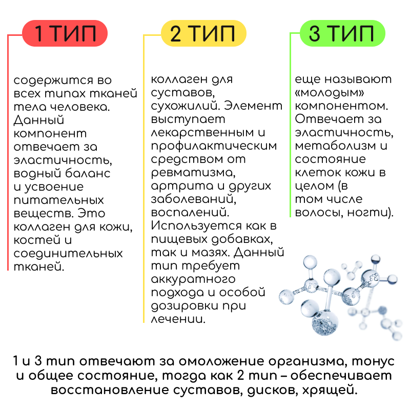 Типы коллагена для чего. Типы коллагена для чего