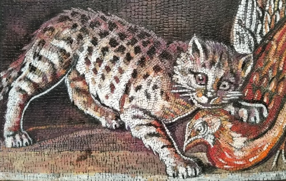 Мозаика из Дома Фавна в Помпеях. Фото Музея Кошки