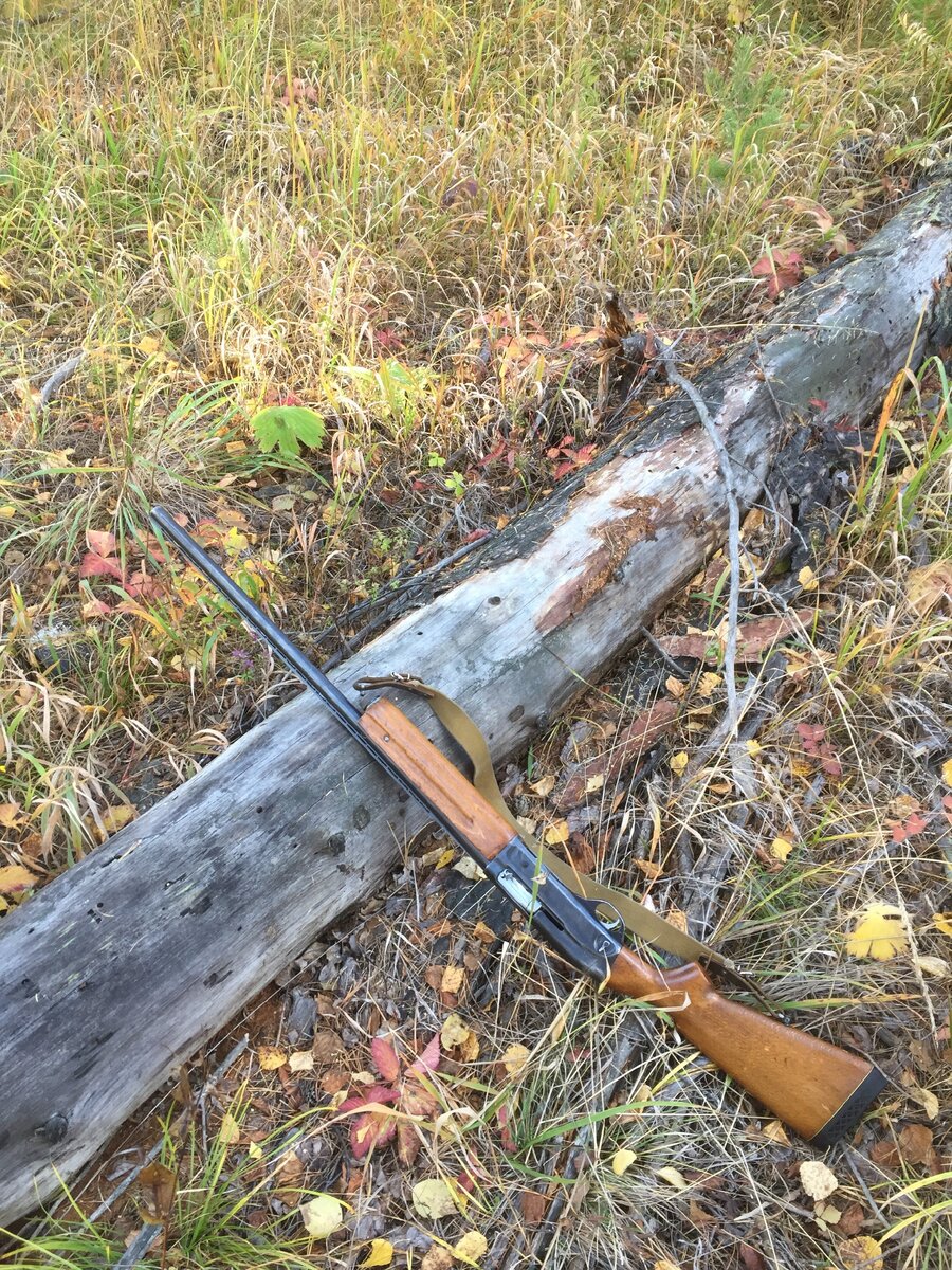 МЦ-21-12 на прогулке