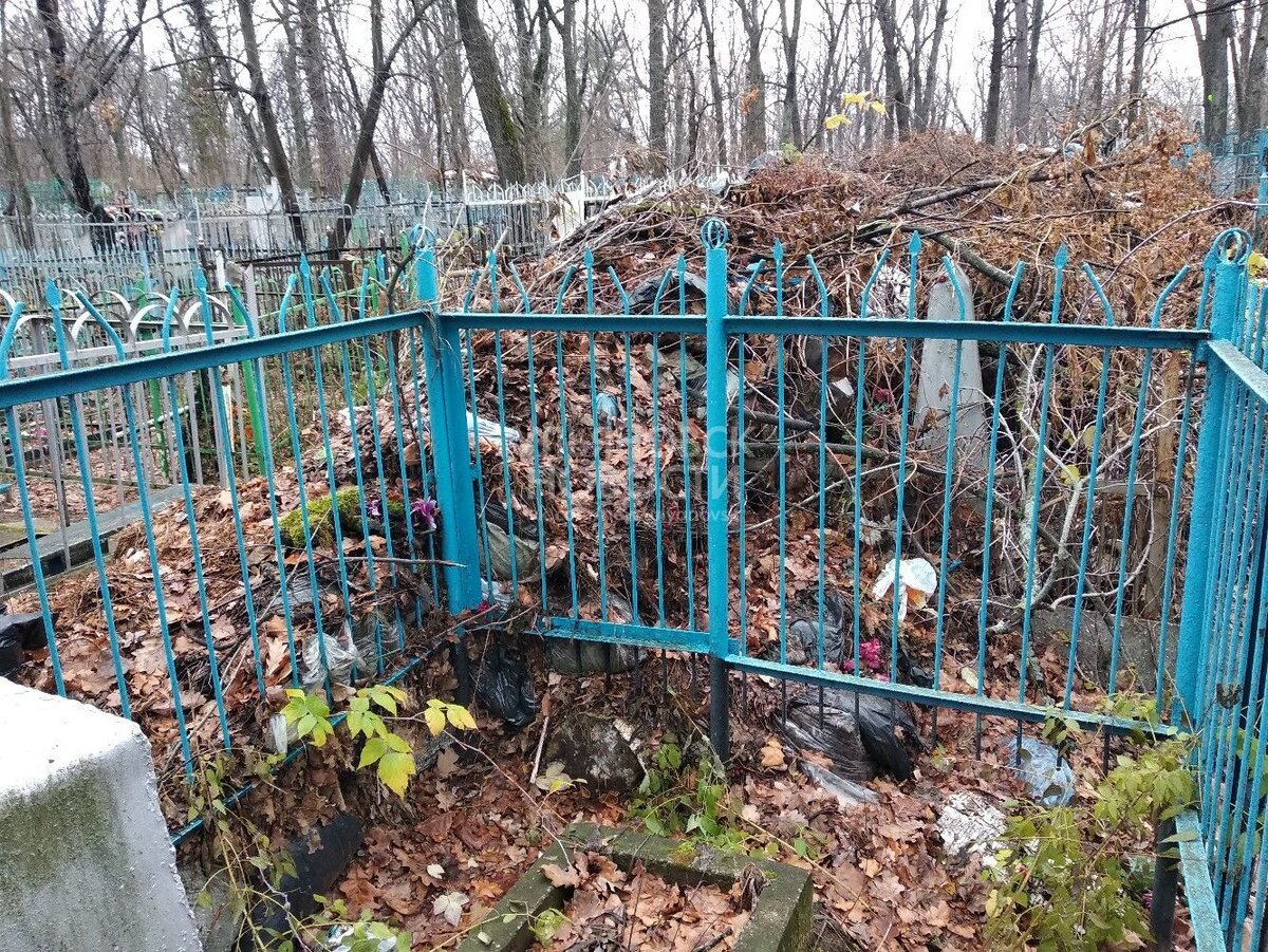 Из открытых источников