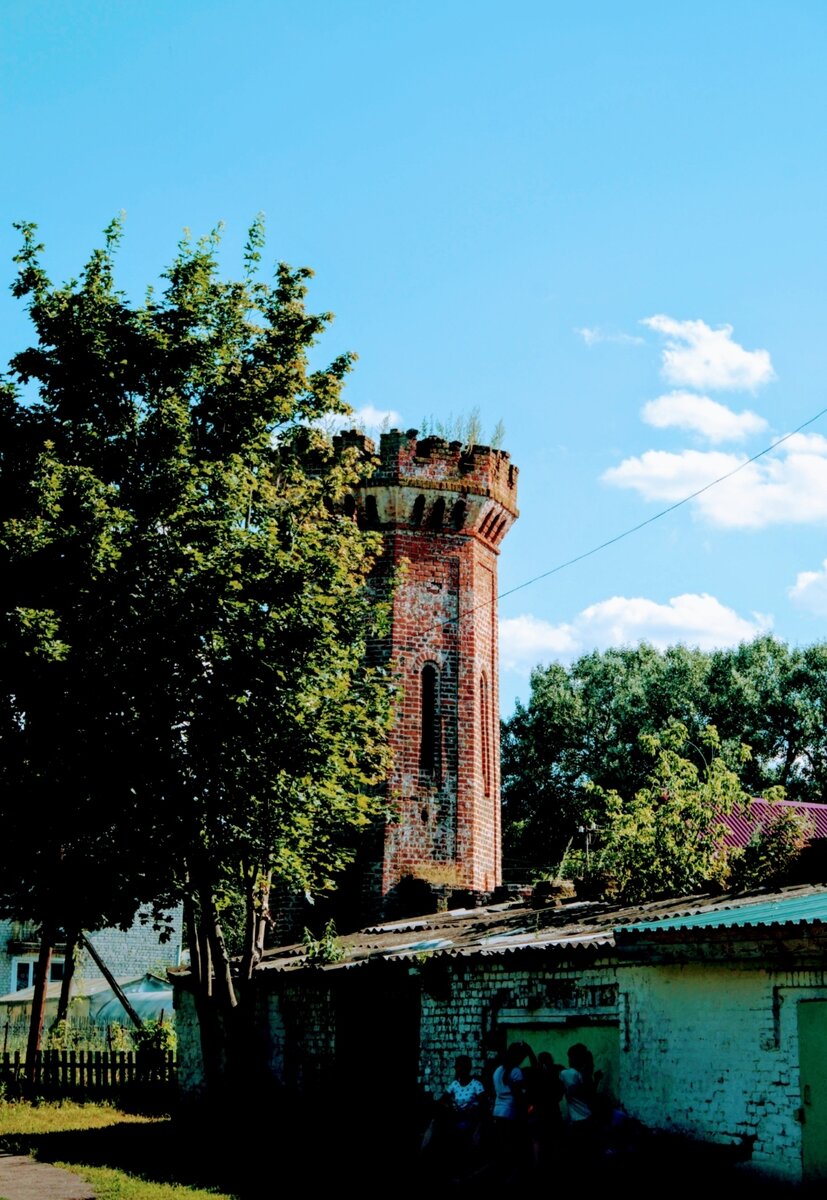 Местные ребятишки. Ишрают на руинах усадьбы, в парк не ходят