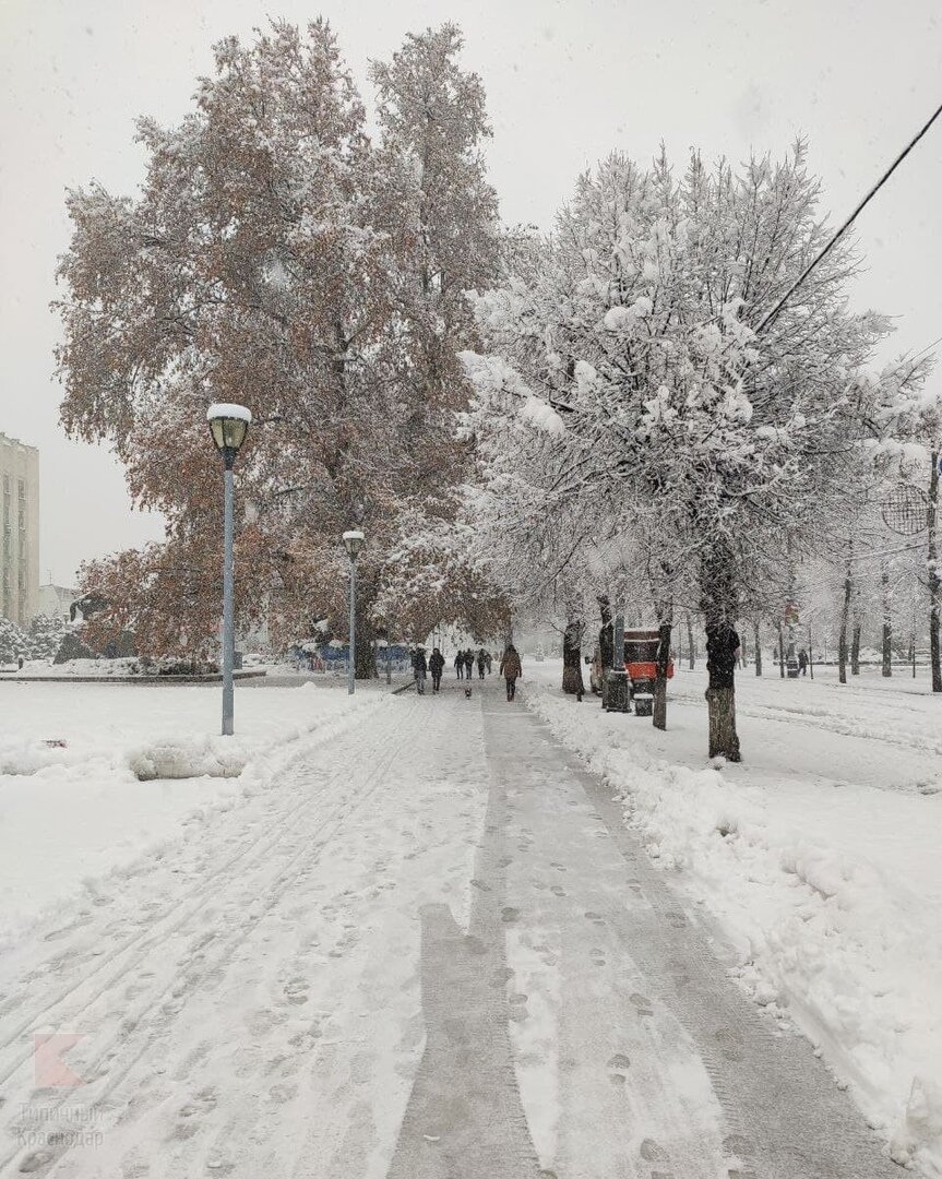 Краснодар красная улица зимой. Зима в Краснодаре. Снег в Краснодаре улица. Краснодар сейчас зимой. Погода краснодар снег