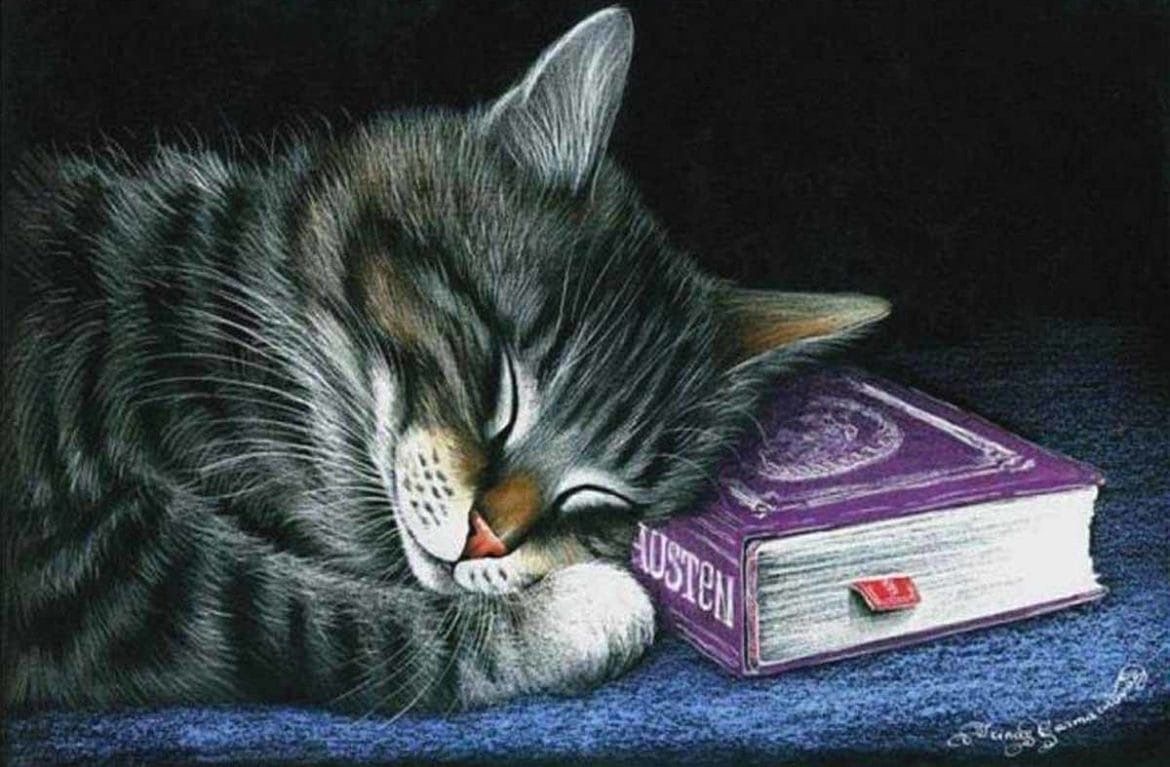 Подписывайтесь на канал!