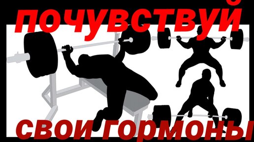 Гормоны после спорта. HEAVYMETALGYM.