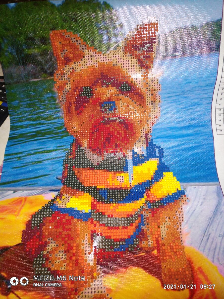 На вышивке алмазной ,йорик получается,только Йорку Кешке он совсем не нравится...