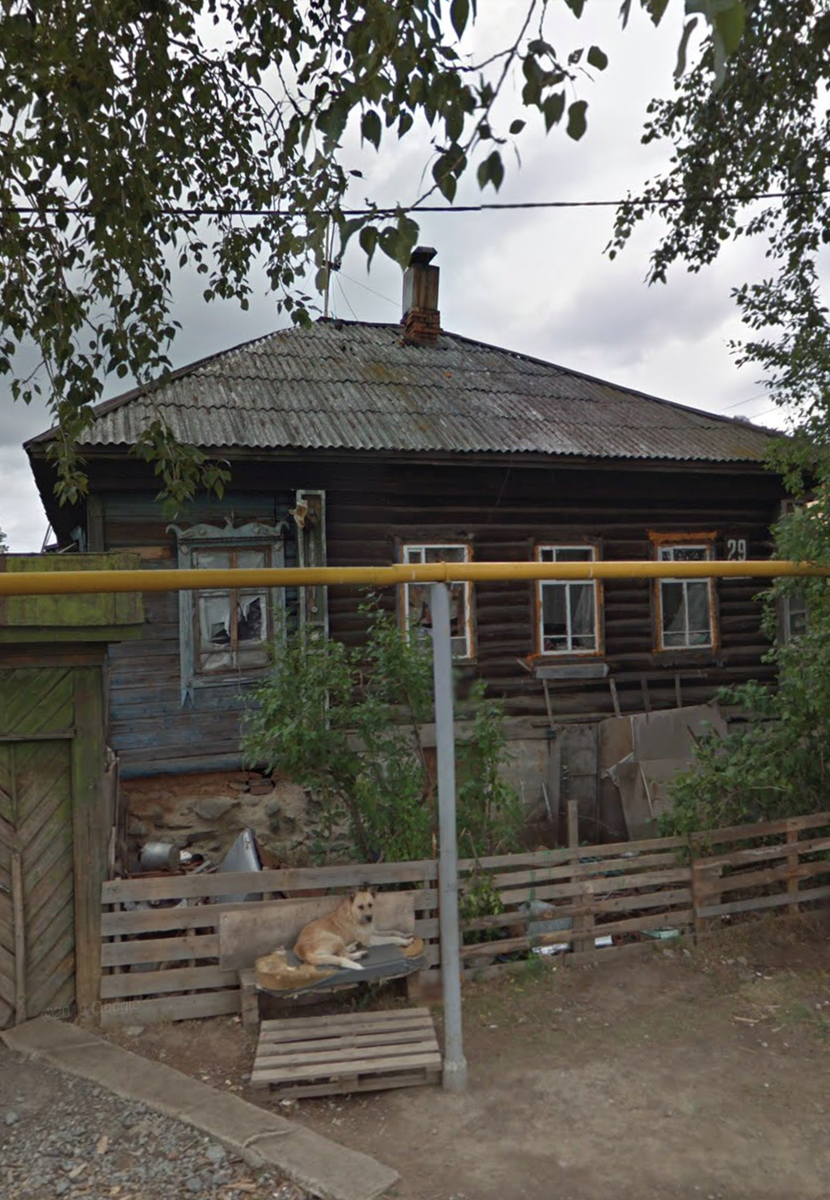 Собакен караулит