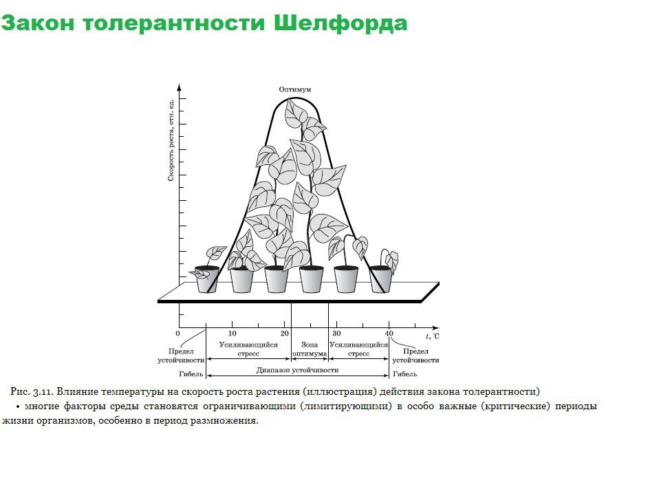 Закон шелфорда 2 примера Закономерности влияния экологических факторов на организм презентация онлайн