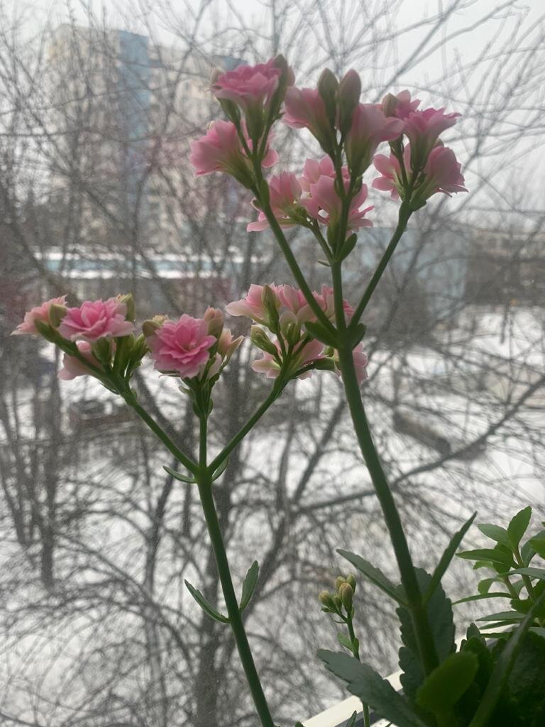 Утро всегда даёт надежду на хороший день.