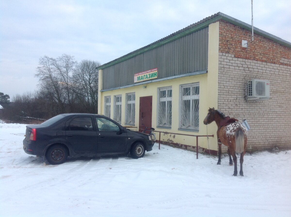 Три транспортных средства возле магазина - автомобиль, велосипед, лошадь