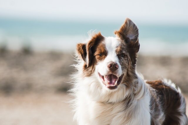 Photo by Pauline Loroy on Unsplash