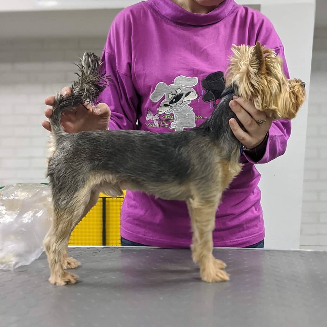 Вот так проходила наша подготовка.